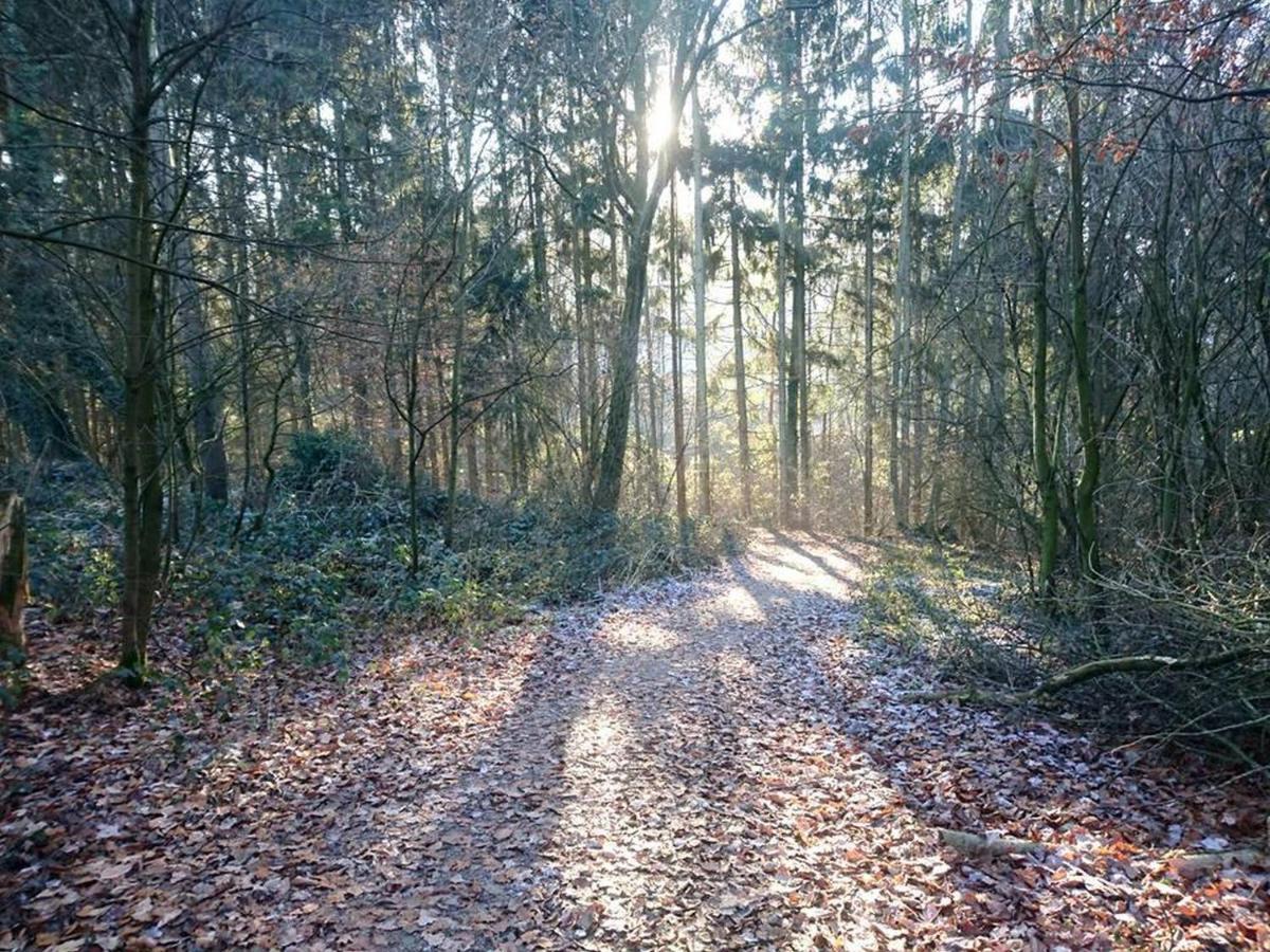 Landhaus Sundern Tecklenburg Kültér fotó